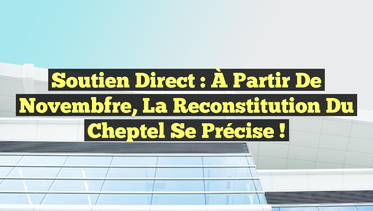 Soutien Direct : À Partir de Novembfre, La Reconstitution Du Cheptel Se Précise !