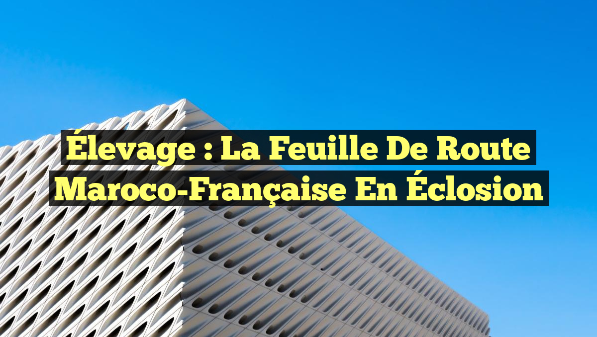Élevage : La Feuille de Route Maroco-Française en Éclosion