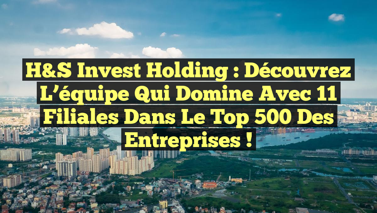 H&S Invest Holding : Découvrez l&rsquo;équipe qui domine avec 11 filiales dans le Top 500 des entreprises !