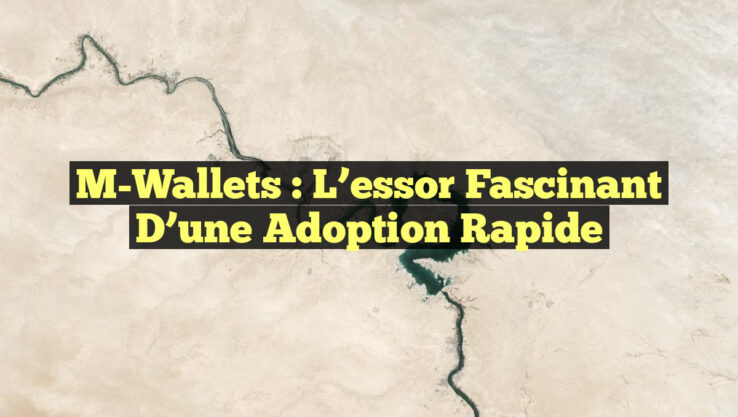 M-Wallets : l’essor fascinant d’une adoption rapide