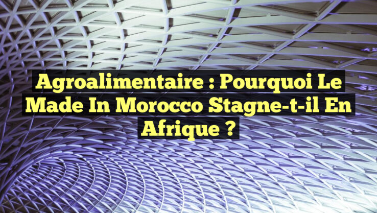 Agroalimentaire : Pourquoi le Made in Morocco Stagne-t-il en Afrique ?