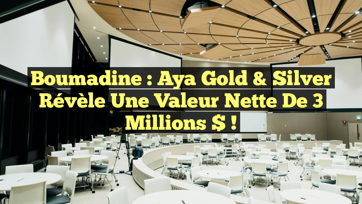 Boumadine : Aya Gold & Silver révèle une valeur nette de 3 millions $ !