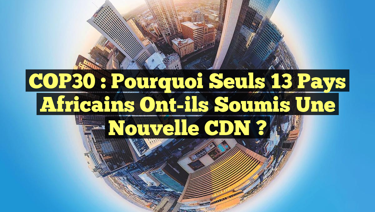 COP30 : Pourquoi seuls 13 pays africains ont-ils soumis une nouvelle CDN ?