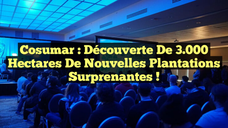 Cosumar : Découverte de 3.000 hectares de nouvelles plantations surprenantes !