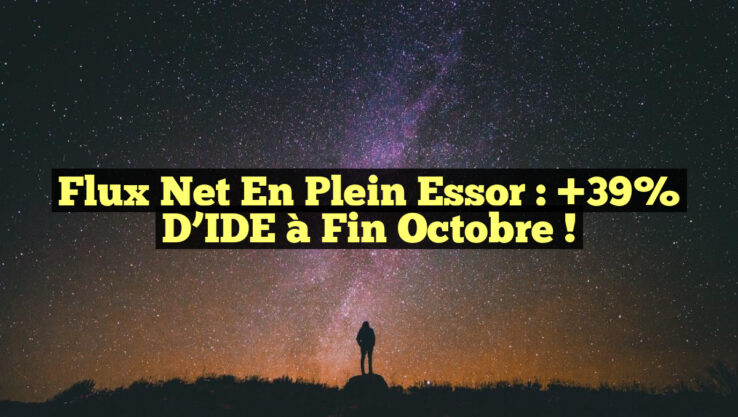 Flux Net en Plein Essor : +39% d’IDE à Fin Octobre !