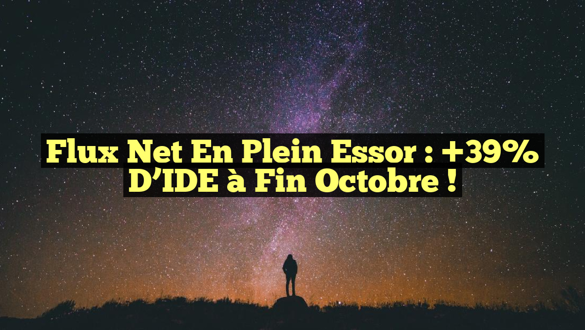 Flux Net en Plein Essor : +39% d&rsquo;IDE à Fin Octobre !