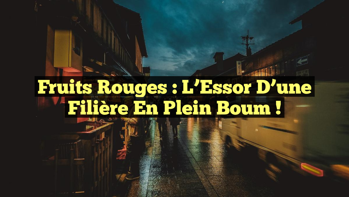 Fruits Rouges : L&rsquo;Essor d&rsquo;une Filière En Plein Boum !