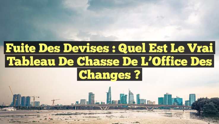 Fuite des Devises : Quel est le Vrai Tableau de Chasse de l’Office des Changes ?