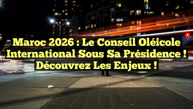 Maroc 2026 : Le Conseil Oléicole International sous sa présidence ! Découvrez les enjeux !