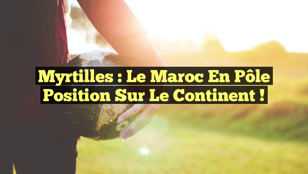 Myrtilles : Le Maroc en Pôle Position sur le Continent !