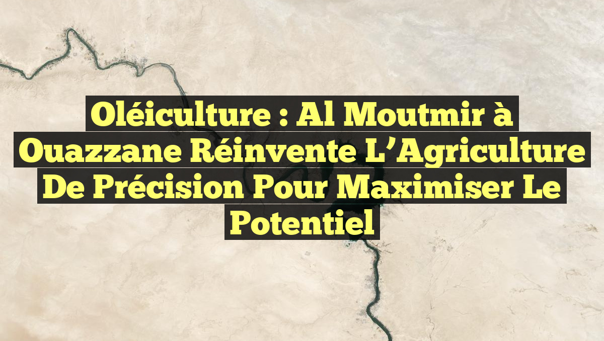 Oléiculture : Al Moutmir à Ouazzane Réinvente l’Agriculture de Précision pour Maximiser le Potentiel