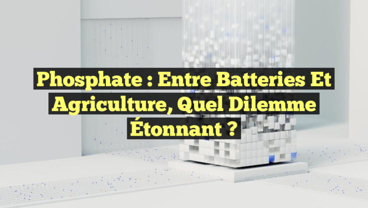 Phosphate : Entre Batteries et Agriculture, Quel Dilemme Étonnant ?