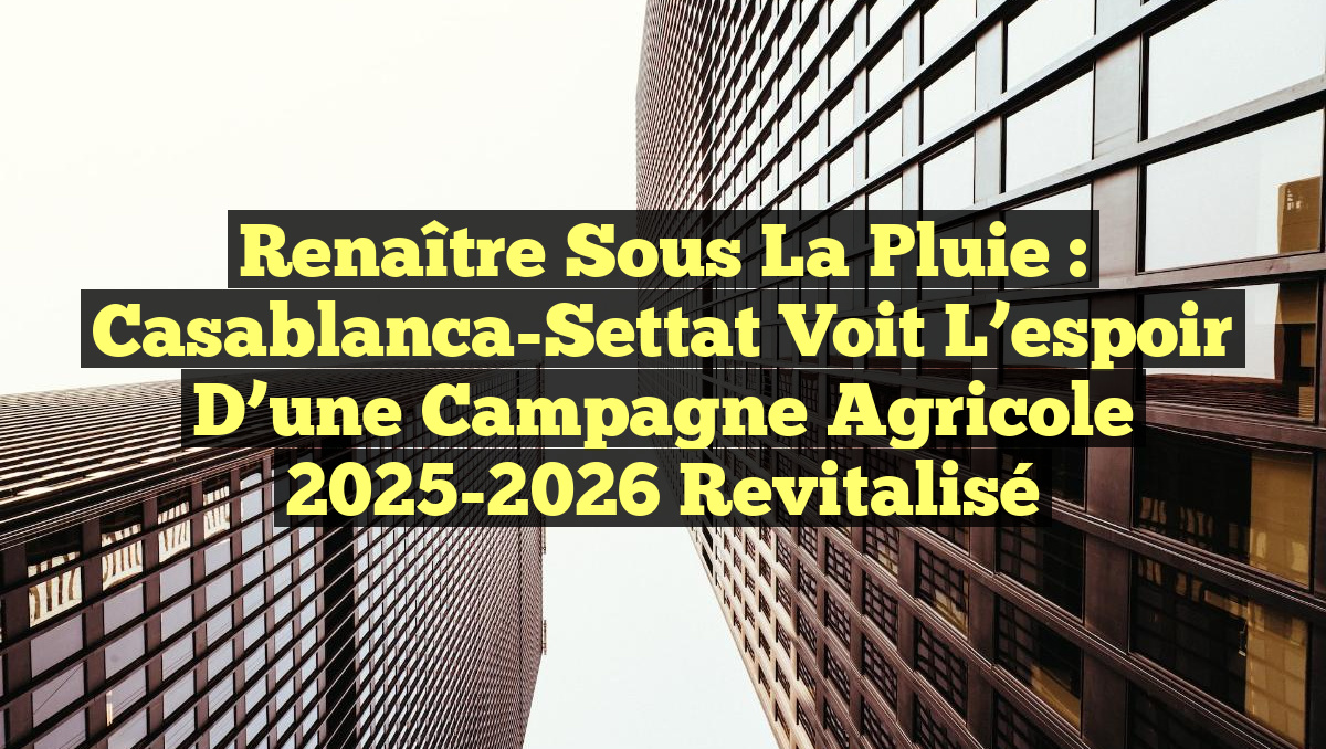 Renaître sous la pluie : Casablanca-Settat voit l&rsquo;espoir d&rsquo;une campagne agricole 2025-2026 revitalisé