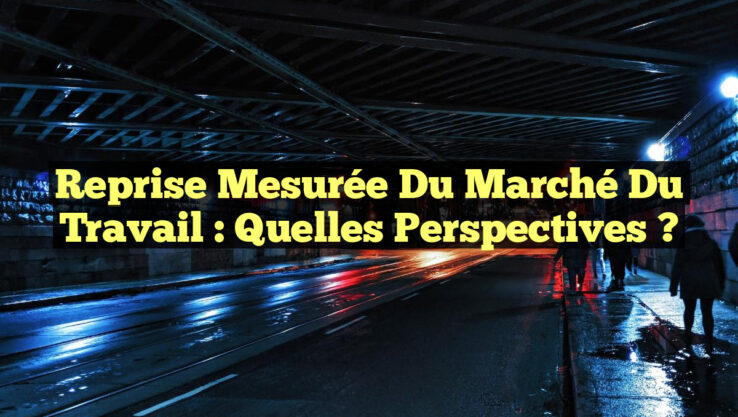 Reprise Mesurée du Marché du Travail : Quelles Perspectives ?