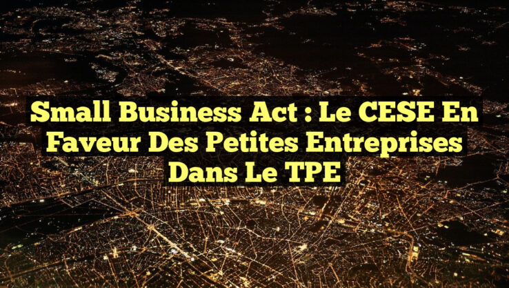 Small Business Act : Le CESE en faveur des Petites Entreprises dans le TPE