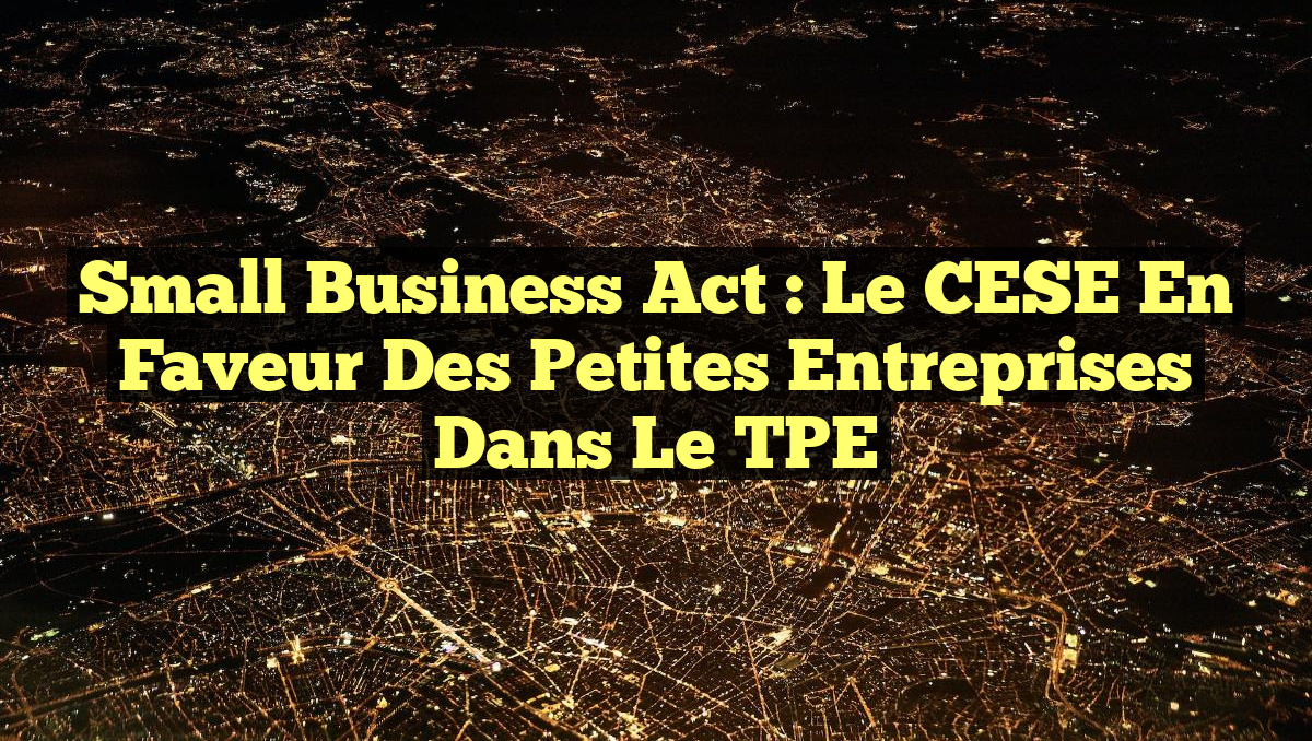 Small Business Act : Le CESE en faveur des Petites Entreprises dans le TPE