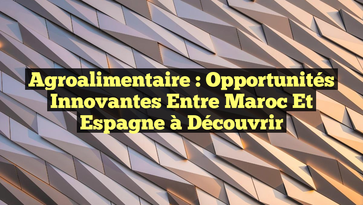 Agroalimentaire : Opportunités Innovantes entre Maroc et Espagne à Découvrir