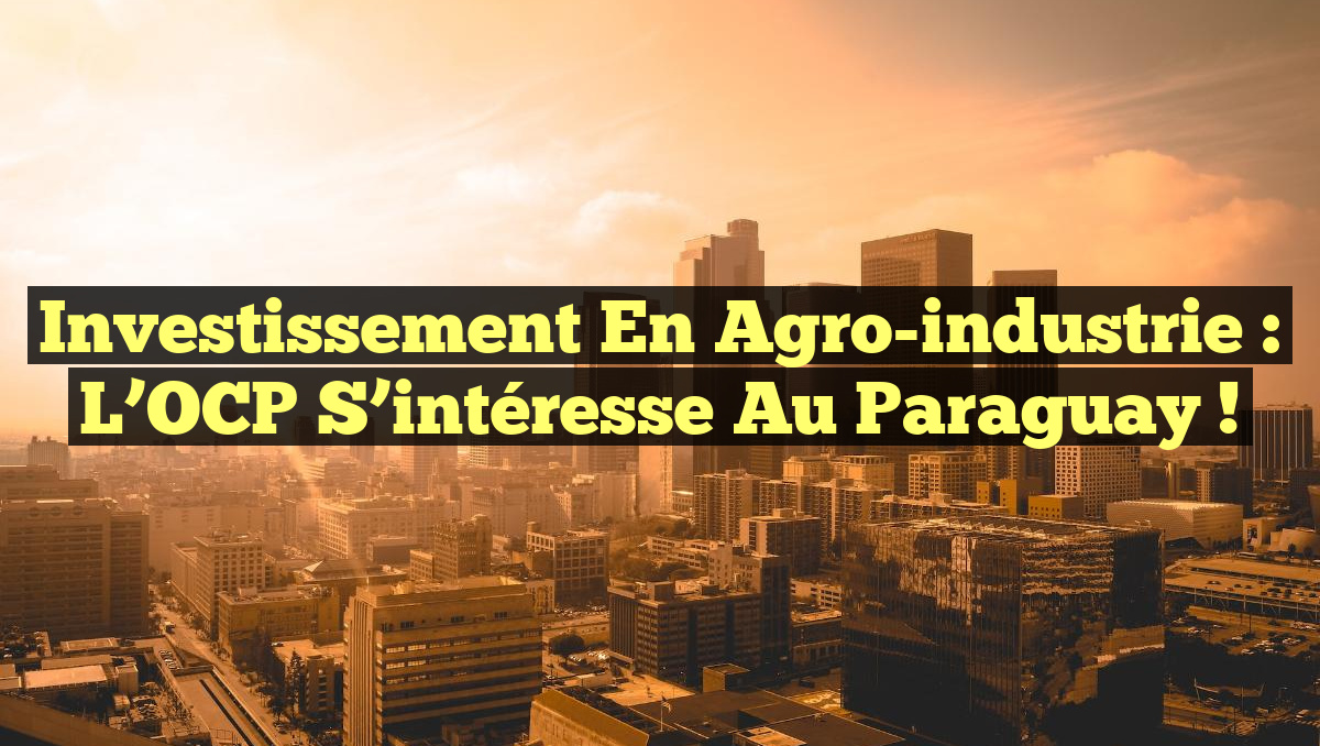 Investissement en Agro-industrie : L&rsquo;OCP S&rsquo;intéresse au Paraguay !