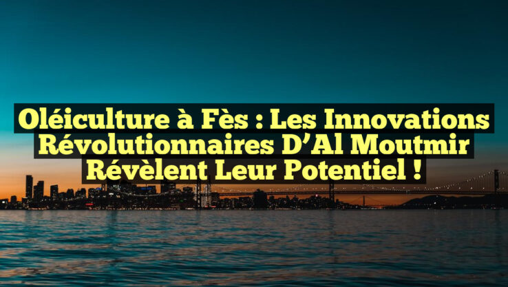 Oléiculture à Fès : Les Innovations Révolutionnaires d’Al Moutmir Révèlent Leur Potentiel !