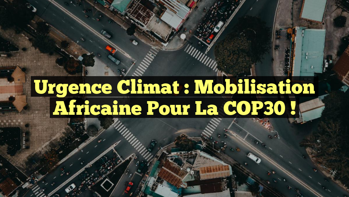 Urgence Climat : Mobilisation Africaine pour la COP30 !