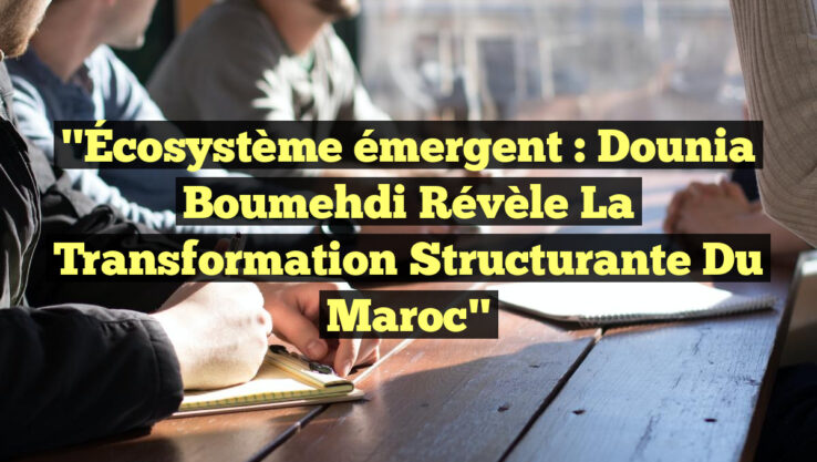 "Écosystème émergent : Dounia Boumehdi révèle la transformation structurante du Maroc"