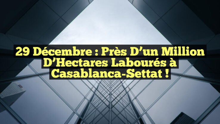 29 Décembre : Près d’un Million d’Hectares Labourés à Casablanca-Settat !