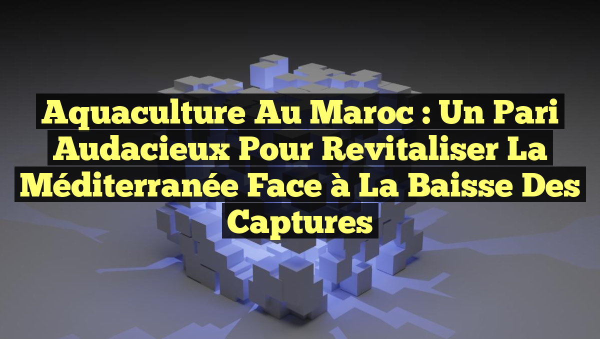 Aquaculture au Maroc : un pari audacieux pour revitaliser la Méditerranée face à la baisse des captures