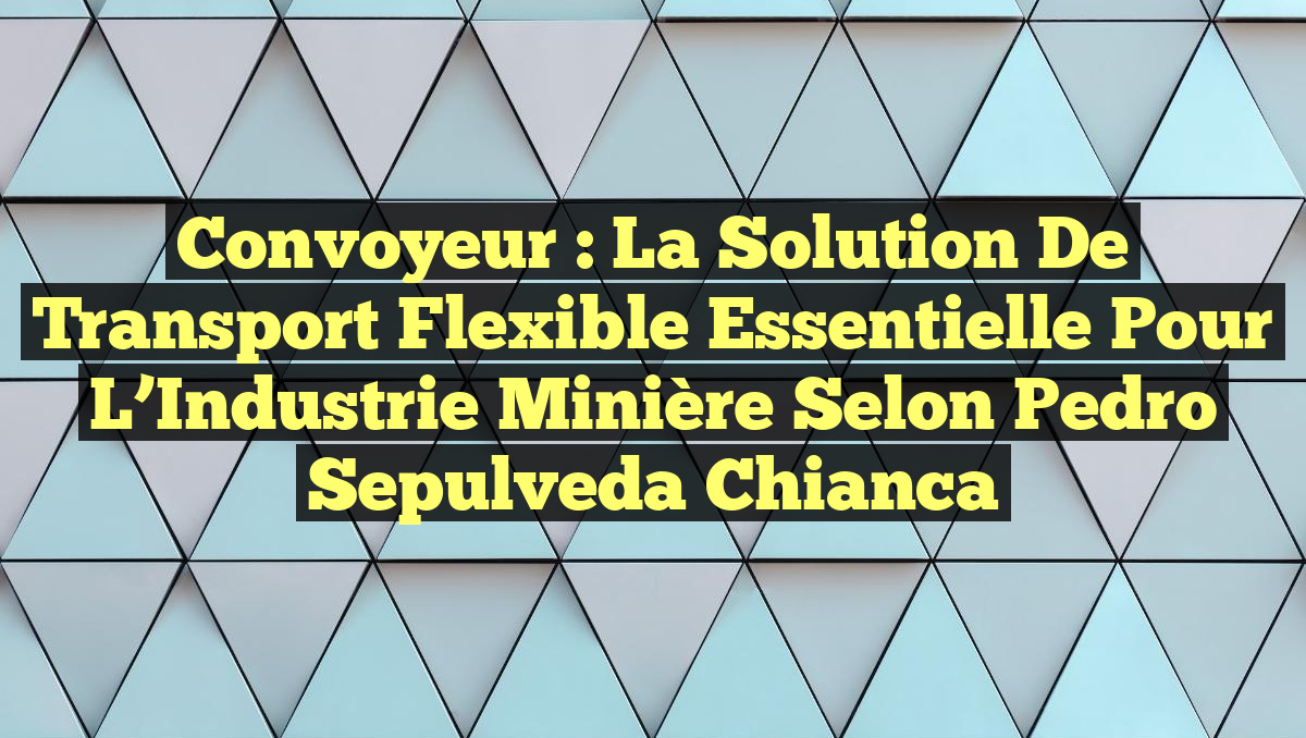 Convoyeur : La Solution de Transport Flexible Essentielle pour l&rsquo;Industrie Minière selon Pedro Sepulveda Chianca