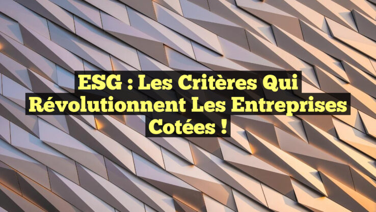 ESG : Les critères qui révolutionnent les entreprises cotées ! ESG : Les critères qui révolutionnent les entreprises cotées !