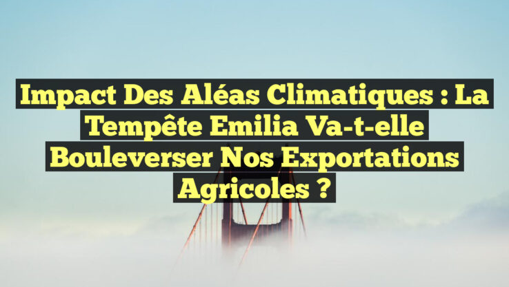 Impact des aléas climatiques : La tempête Emilia va-t-elle bouleverser nos exportations agricoles ?