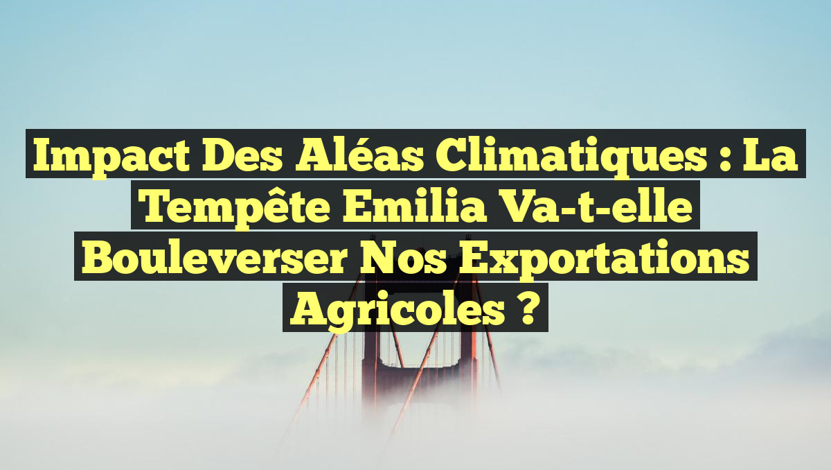 Impact des aléas climatiques : La tempête Emilia va-t-elle bouleverser nos exportations agricoles ?