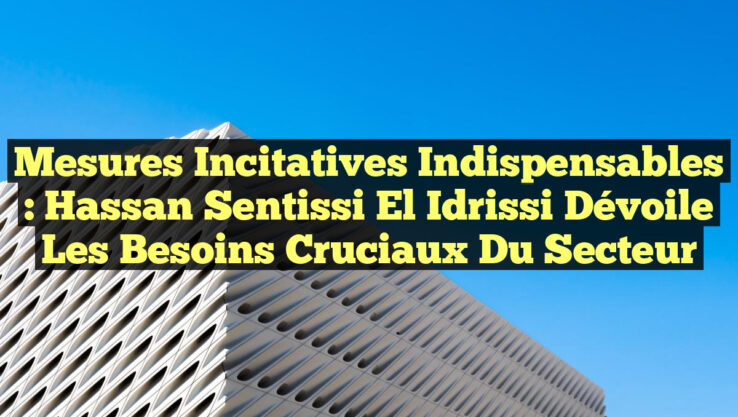 Mesures incitatives indispensables : Hassan Sentissi El Idrissi dévoile les besoins cruciaux du secteur