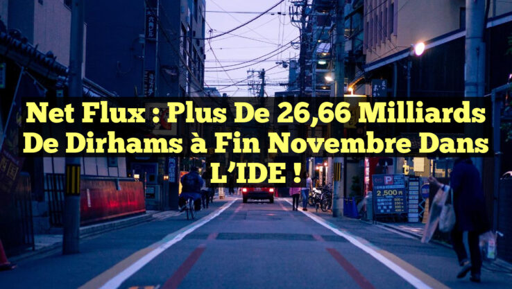 Net Flux : Plus de 26,66 Milliards de Dirhams à Fin Novembre dans l’IDE !