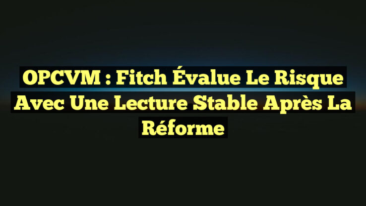 OPCVM : Fitch Évalue le Risque avec une Lecture Stable après la Réforme