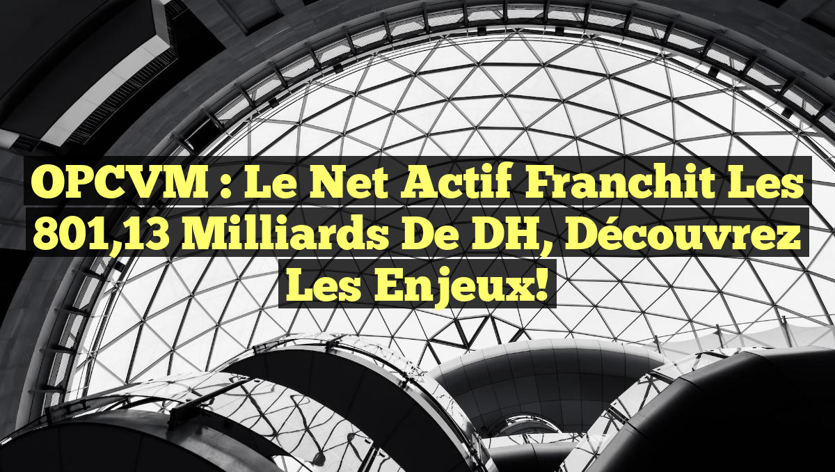 OPCVM : Le net actif franchit les 801,13 milliards de DH, découvrez les enjeux!