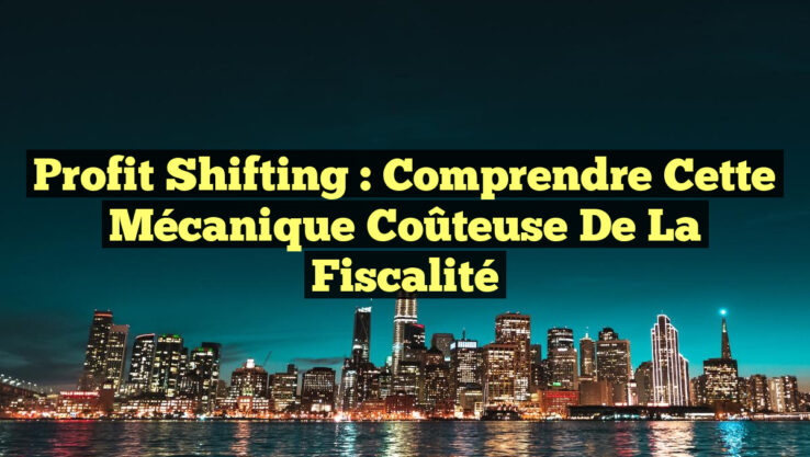 Profit Shifting : Comprendre cette Mécanique Coûteuse de la Fiscalité