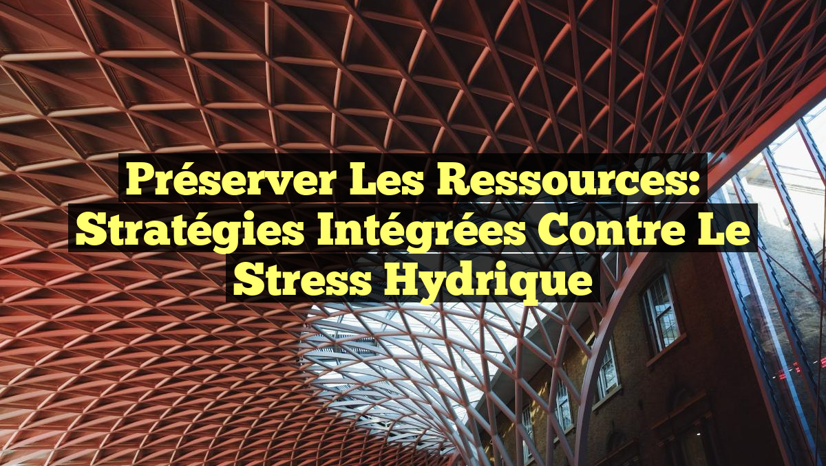 Préserver les Ressources: Stratégies Intégrées contre le Stress Hydrique