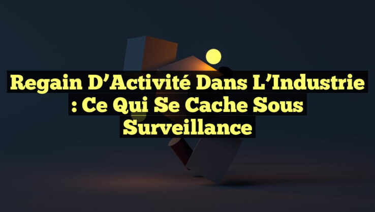 Regain d’Activité dans l’Industrie : Ce qui se Cache Sous Surveillance