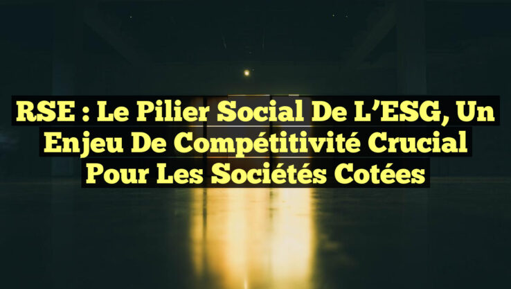 RSE : Le Pilier Social de l’ESG, un Enjeu de Compétitivité Crucial pour les Sociétés Cotées RSE : Le Pilier Social de l’ESG, un Enjeu de Compétitivité Crucial pour les Sociétés Cotées