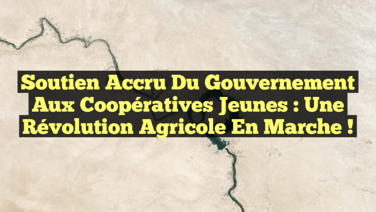 <p><strong>Soutien Accru du Gouvernement aux Coopératives Jeunes : Une Révolution Agricole en Marche !</strong></p> Soutien Accru du Gouvernement aux Coopératives Jeunes : Une Révolution Agricole en Marche !