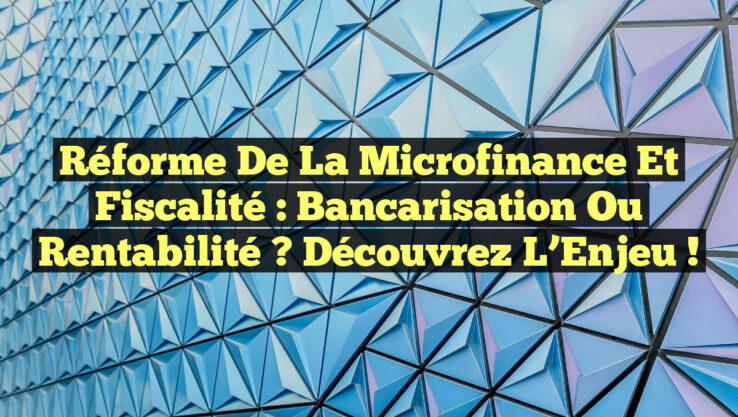 Réforme de la Microfinance et Fiscalité : Bancarisation ou Rentabilité ? Découvrez l’Enjeu ! Réforme de la Microfinance et Fiscalité : Bancarisation ou Rentabilité ? Découvrez l’Enjeu !