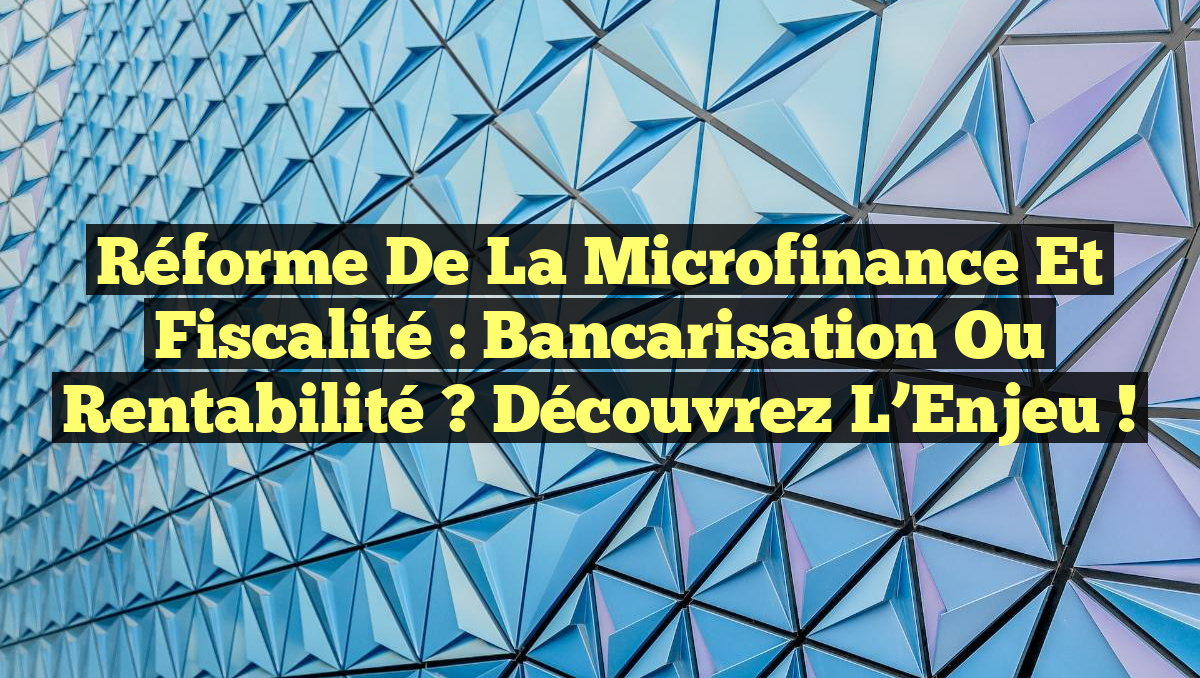 Réforme de la Microfinance et Fiscalité : Bancarisation ou Rentabilité ? Découvrez l&rsquo;Enjeu !
