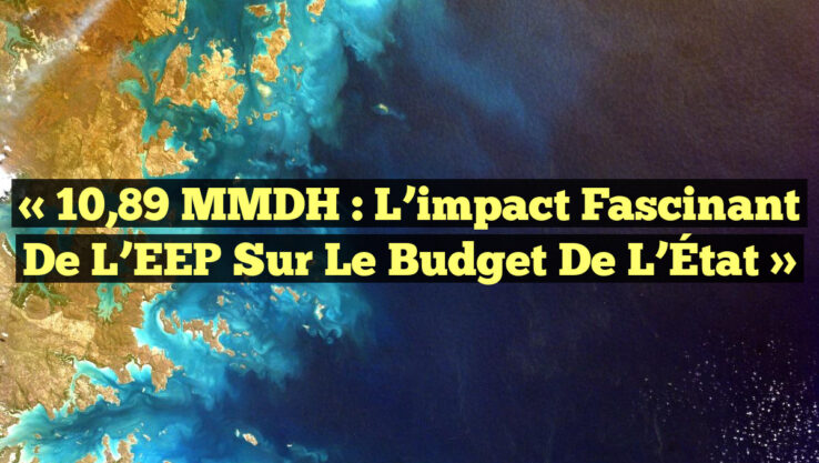 « 10,89 MMDH : L’impact fascinant de l’EEP sur le budget de l’État »