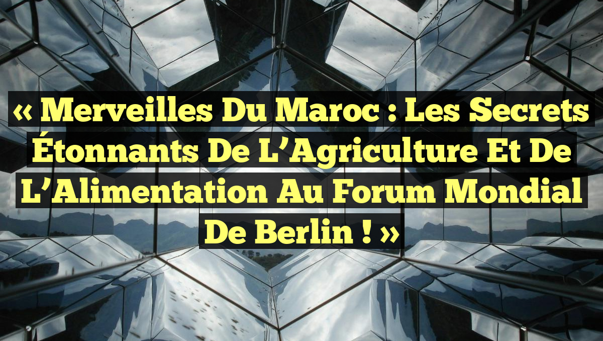 « Merveilles du Maroc : Les Secrets Étonnants de l’Agriculture et de l’Alimentation au Forum Mondial de Berlin ! »