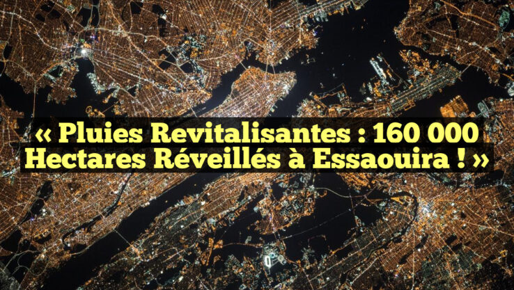 « Pluies Revitalisantes : 160 000 Hectares Réveillés à Essaouira ! »