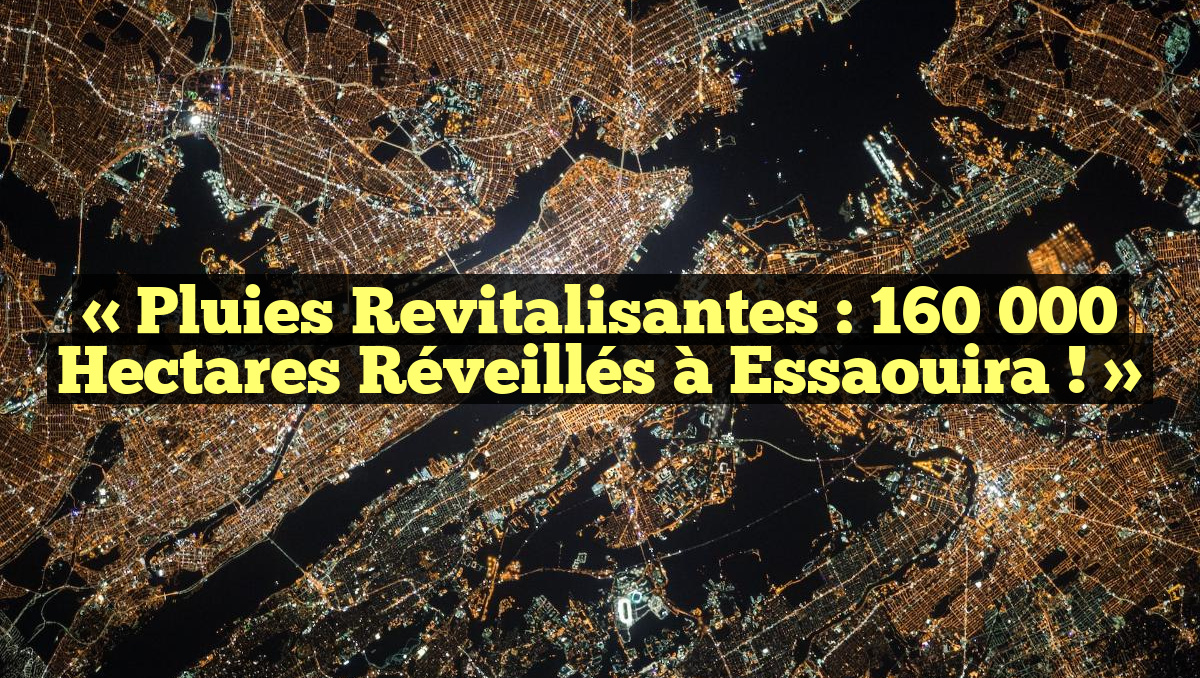 « Pluies Revitalisantes : 160 000 Hectares Réveillés à Essaouira ! »