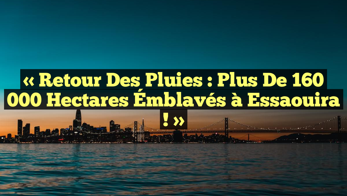 « Retour des Pluies : Plus de 160 000 Hectares Émblavés à Essaouira ! »