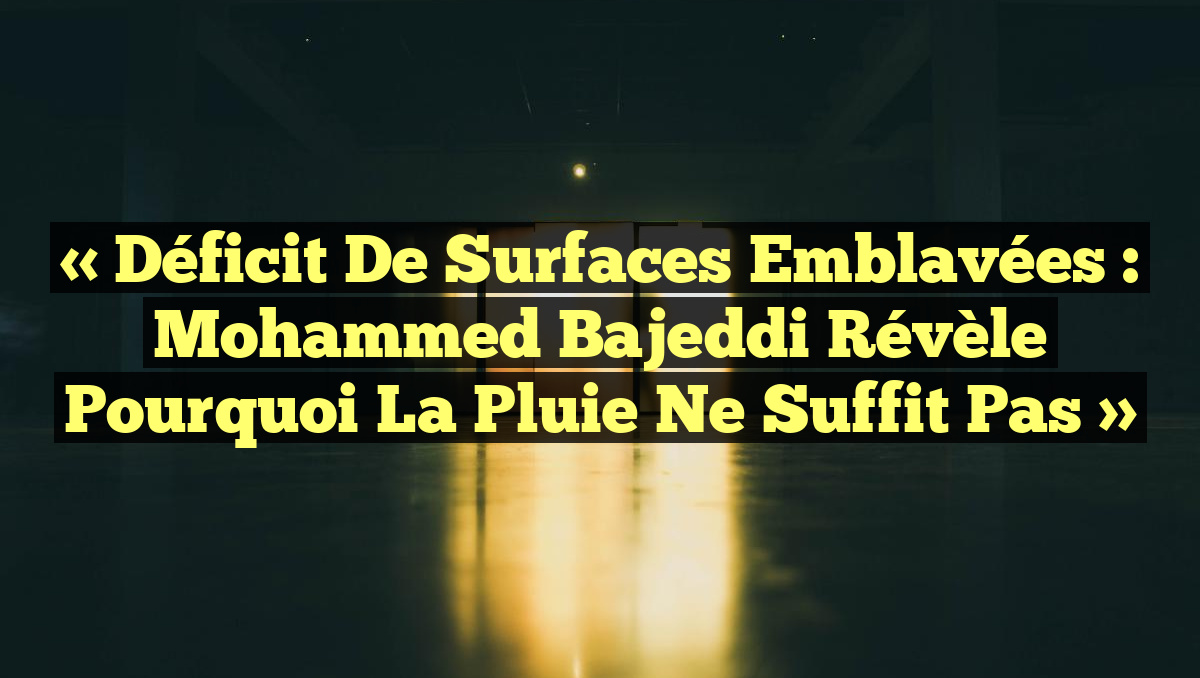 « Déficit de surfaces emblavées : Mohammed Bajeddi révèle pourquoi la pluie ne suffit pas »