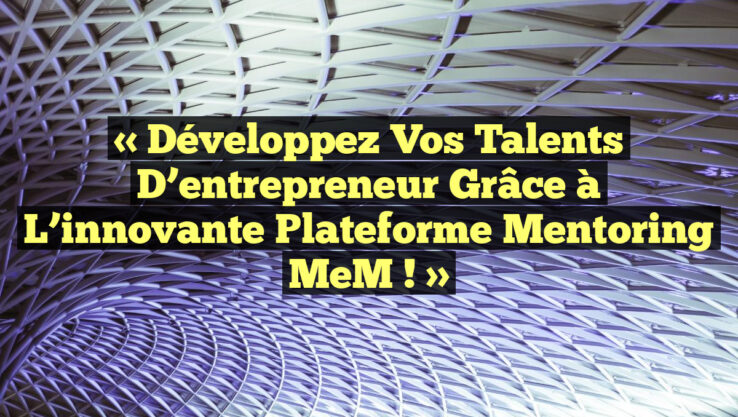 « Développez vos talents d’entrepreneur grâce à l’innovante plateforme Mentoring MeM ! »