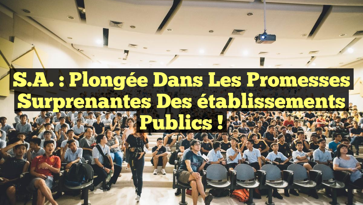 S.A. : Plongée dans les promesses surprenantes des établissements publics !
